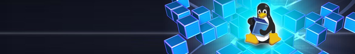 Одним из основных направлений деятельности нашей компании является перевод организаций на свободное программное обеспечение.