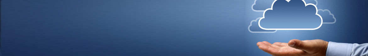 это удобная среда для хранения и обработки информации, объединяющая в себе аппаратные средства, лицензионное программное обеспечение, каналы связи, а также техническую поддержку пользователей.