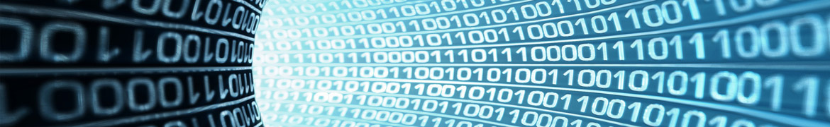 Любая компьютерная сеть нуждается в профессиональном обслуживании.